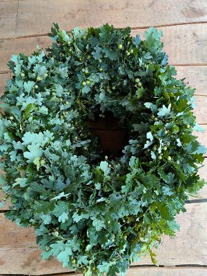 2025 Findorff Gedenktag (16)